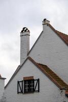 beautiful brick chimneys on the roof of an old villa photo