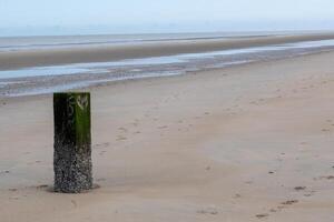 Wooden pile at low tide with beach photo