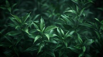 AI generated Lush green foliage background in dark moody tones photo