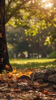 AI generated Autumn leaves scattered around a serene park at sunset photo