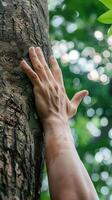 ai generado humano mano toques árbol maletero en lozano bosque foto