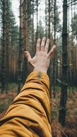 AI generated Hand reaching out to the forest, feeling of connection with nature photo