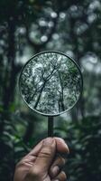 AI generated Close-up of hand holding magnifying glass in forest photo