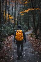 ai generado solo viajero con mochila caminando en otoño bosque foto