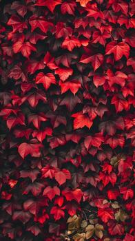 AI generated Vibrant red leaves texture for autumn backgrounds photo