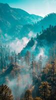 AI generated Misty forest landscape with sunlight and pine trees photo