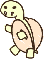 Tortoise Chalk Drawing png