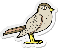 sticker of a cartoon garden bird png