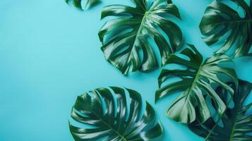 ai generado tropical monstera hojas en azul antecedentes. minimalista Moda verano modelo. foto