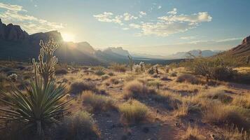 AI generated Wild west texas desert landscape in the morning light with mountains and cacti. photo