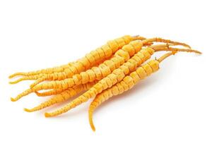 ai generado ingrediente usado en tradicional chino medicina en blanco antecedentes - cordyceps sinensis foto