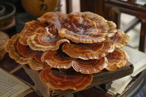 AI generated Chinese medicine, China Ganoderma, mushroom photo