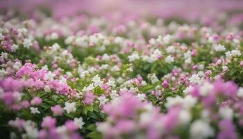 AI generated a field of pink and white flowers with a blurry background photo