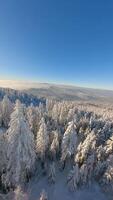 filmiska fpv Drönare flyg över skön snöig berg skog. video