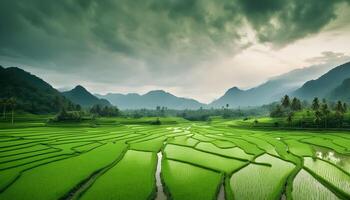 ai generado un hermosa verde arroz campo con montañas en el antecedentes foto