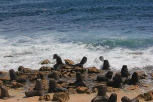 rocky beach. beach with many rocks and corals. blue sky background and rough wave photo