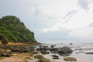 rocky beach. beach with many rocks and corals. blue sky background and rough wave photo