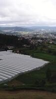 Vertical Video of Greenhouses and Agriculture Fields Aerial View