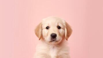 AI generated cute puppy with pink background photo