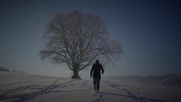 uno uomo escursioni a piedi all'aperto nel inverno neve paesaggio scenario video