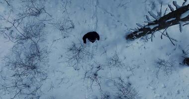 wandelaar wandelen in diep sneeuw buitenshuis in Woud landschap video