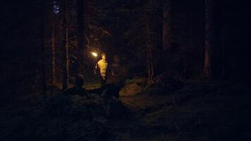 Young African Woman With Curly Hair Exploring Dark Night With Torch Light video