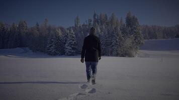 einer Mann Wandern draußen im Winter Schnee Landschaft Landschaft video
