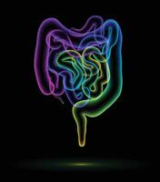 ilustración de el humano colon y pequeño intestino presentado en el formar de de colores globos ese son apilado juntos a crear el contornos de el abdominal órganos usado en medicina y comercio. vector