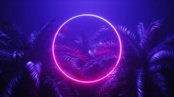 neon gloeiend kader en palm bomen video