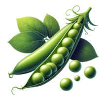 AI generated Peas png green peas png pea png green pea png peas vegetable png green vegetable png peas transparent background pea transparent background