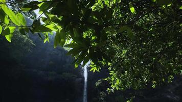 Bewegung Hintergrund Natur Landschaft szenisch larangan Wasserfall video