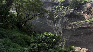 movimento fundo natureza panorama cênico cikanteh cascata video