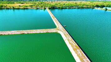 peixe agricultura lagoa - órbita tiro de uma zangão video