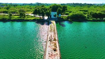 peixe agricultura lagoa - água reflexão de uma zangão comovente para trás video