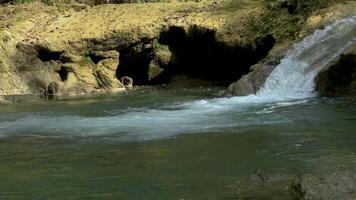 beweging achtergrond natuur landschap toneel- rivier- in de Woud video
