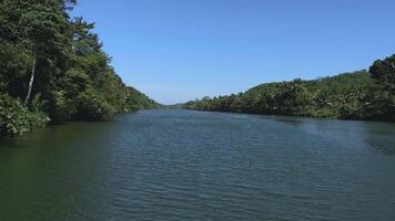 Bewegung Hintergrund Natur Landschaft szenisch Fluss video