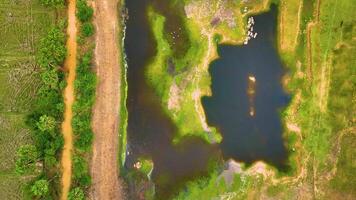 schön Platz mit klein Teich - - Antenne Aussicht video