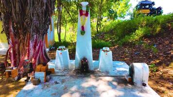 Hindu God with Garland - Backwards Shot video