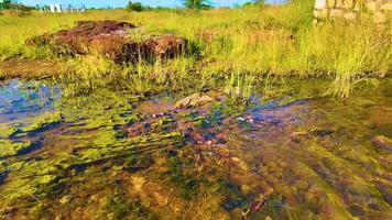 Crystal Clear Water - Slow Motion Shot video