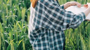 ricercatore siamo test il qualità di riso nel il azienda agricola video