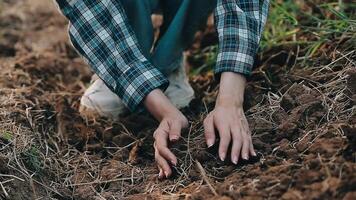 Top view of soil in hands for check the quality of the soil for control soil quality before seed plant. Future agriculture concept. Smart farming, using modern technologies in agriculture video