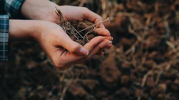 superiore Visualizza di suolo nel mani per dai un'occhiata il qualità di il suolo per controllo suolo qualità prima seme pianta. futuro agricoltura concetto. inteligente agricoltura, utilizzando moderno tecnologie nel agricoltura video