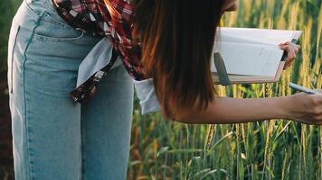 researcher are test the quality of rice in the farm video