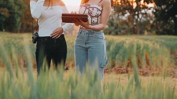 ricercatore siamo test il qualità di riso nel il azienda agricola video