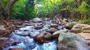 Stream - Panning Shot video