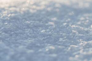 hermosa nieve textura macro. nieve. Nevado campo en invierno foto