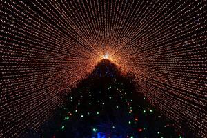 Big amazing magic Christmas tree with lights at night. Christmas Eve photo