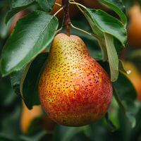 AI generated Close Up of a Pear on a Tree photo