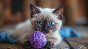 AI generated Playful Cat With Blue Eyes and Yarn Ball photo