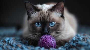 AI generated Playful Cat With Blue Eyes and Yarn Ball photo